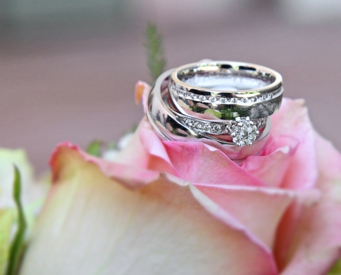 Hochzeitsfoto Ringe auf Rosen gebettet